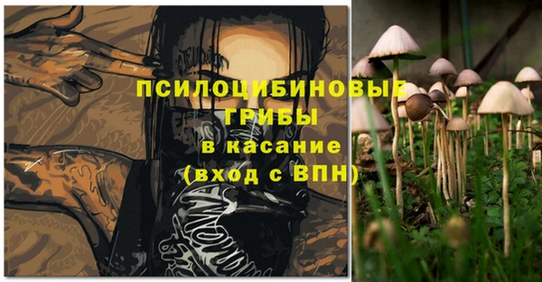 COCAINE Карпинск